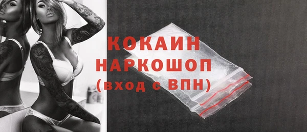 стафф Вязьма
