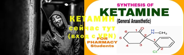 стафф Вязьма