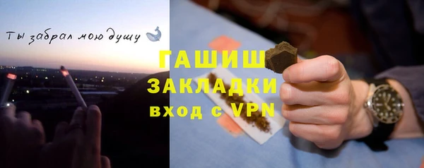 стафф Вязьма
