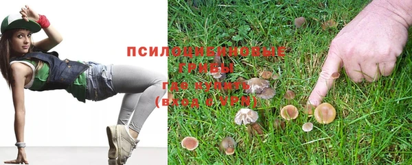 стафф Вязьма
