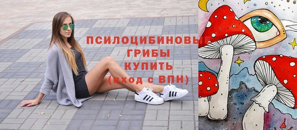 PSILOCYBIN Тавда