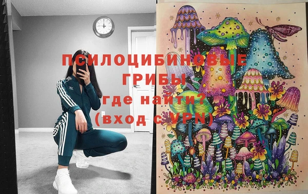 ПСИЛОЦИБИНОВЫЕ ГРИБЫ Вяземский