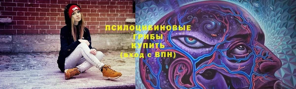 ПСИЛОЦИБИНОВЫЕ ГРИБЫ Вяземский