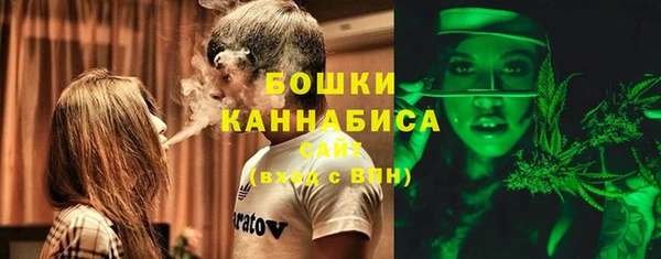 стафф Вязьма
