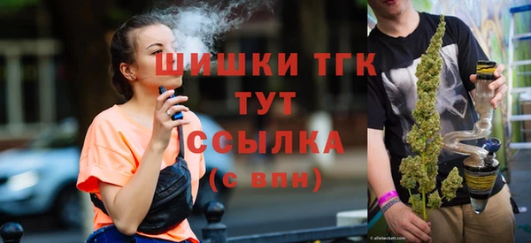ПСИЛОЦИБИНОВЫЕ ГРИБЫ Вяземский