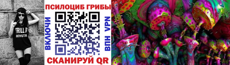 купить цена Мариинск Галлюциногенные грибы Cubensis